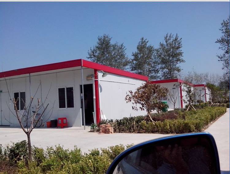 �uꖽ����Ŀ�T������